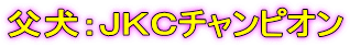 �����F�i�j�b�`�����s�I��