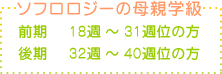 �\�t�����W�[�̕�e�w���⑫
