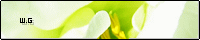 White Garden�l�B�o�i�[�f�ނ𒸂����g�o�ł�