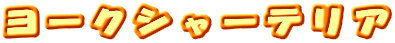 ���[�N�V���[�e���A