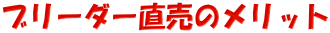 �u���[�_�[�����̃����b�g 
