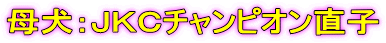 �ꌢ�F�i�j�b�`�����s�I�����q