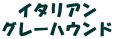 �}���j�G�p�s�[�C�^���A�� �O���[�n�E���h