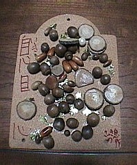 S1032.jpg
