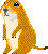 �~�J���˂��`