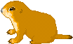����`�ہI