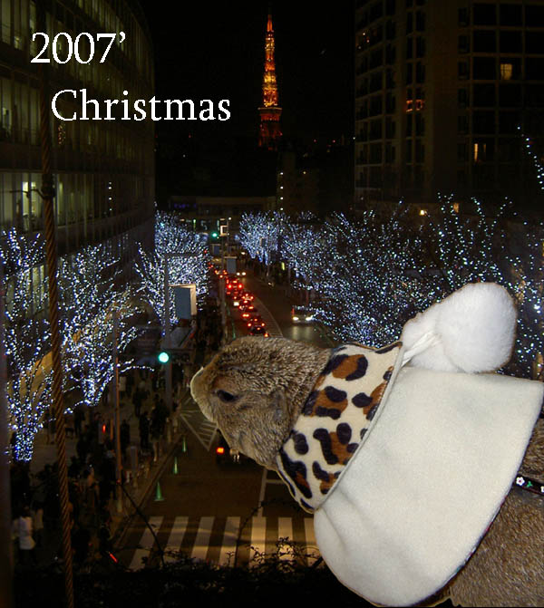 merry xmas!