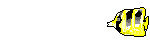 tropicalF.gif