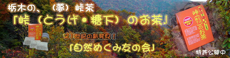 �g�b�v�C���[�W