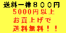 Sꗥ800~@ܐ~ȏエグő