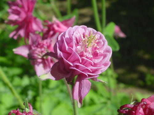 img0010.jpg