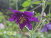 img0024.jpg