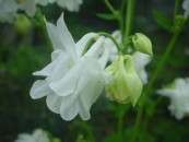 img0027.jpg