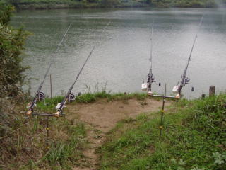 a176109_863_wyvxd1.jpg a176109_863_wyvxd1.jpg