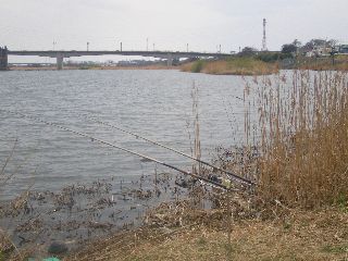 j8765987_R000.jpg