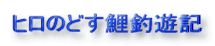 q̂ǂޗVL 