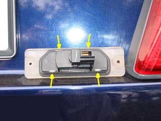 licenselamp3.jpg(10295 byte)