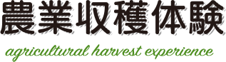 農業収穫体験