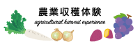 農業収穫体験