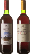 地元産ぶどう100％の<br>赤ワイン２本詰め合わせ