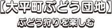 【大平町ぶどう団地】ぶどう狩りを楽しむ