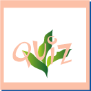 �N�C�Y���o�肵�܂��B