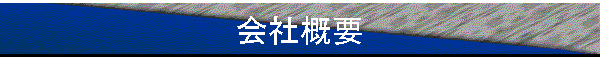 ЊTv