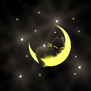 ������̖����`��