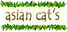 asian cat's