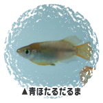 ق邾܁E_J