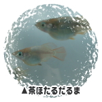 ق邾܁E_J