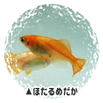 قE_J