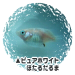 sAzCgEق邾܁E_J