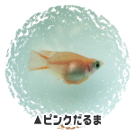 sN܁E_J