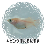sNق邾܁E_J