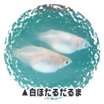 ق邾܁E_J