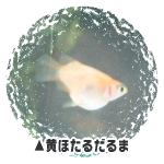 ق邾܁E_J