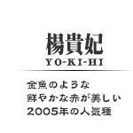 kM܁E_J