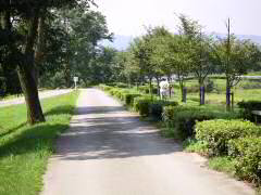 川沿いの土手