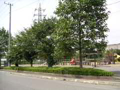 公園