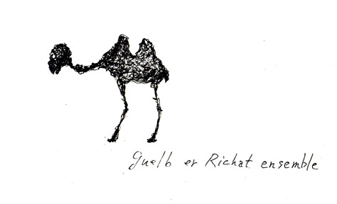 Guelb er Richat ensemble