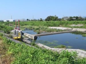 巴波川川島堰