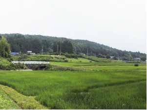 景観調査/太陽光発電計画地の景観（合成パノラマ写真）