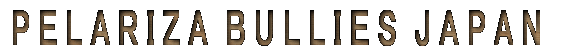 PELARIZA BULLYZ JAPAN