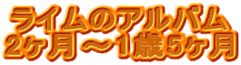 ライムのアルバム
2ヶ月〜1歳5ヶ月