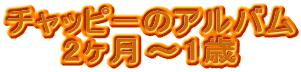 チャッピーのアルバム
2ヶ月〜1歳