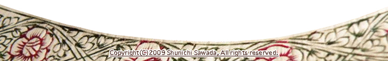 Sitarist Shunichi Sawada