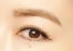 平子理沙さんの眉毛の形