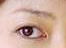 上野 樹里さんの眉の形