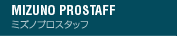 MIZUNO PROSTAFF  | ~YmvX^bt